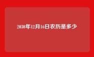 2030年12月16日农历是多少