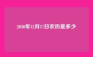 2030年12月17日农历是多少