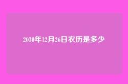 2030年12月26日农历是多少