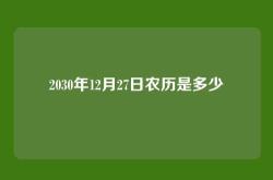 2030年12月27日农历是多少