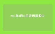 2031年3月13日农历是多少