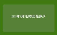 2033年6月3日农历是多少