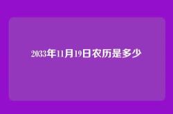2033年11月19日农历是多少