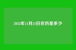 2033年11月24日农历是多少