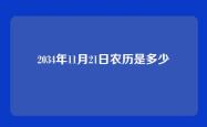 2034年11月21日农历是多少