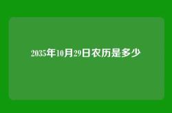 2035年10月29日农历是多少