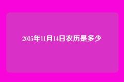 2035年11月14日农历是多少
