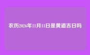 农历2026年11月11日是黄道吉日吗