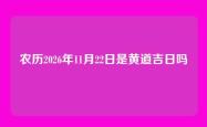 农历2026年11月22日是黄道吉日吗