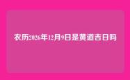 农历2026年12月9日是黄道吉日吗