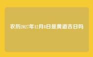 农历2027年12月8日是黄道吉日吗