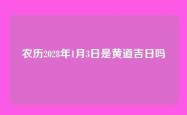农历2028年1月3日是黄道吉日吗