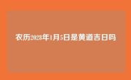 农历2028年1月5日是黄道吉日吗