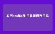 农历2028年1月7日是黄道吉日吗
