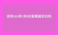 农历2028年1月8日是黄道吉日吗