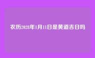 农历2028年1月11日是黄道吉日吗