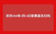 农历2028年1月14日是黄道吉日吗