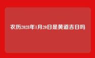 农历2028年1月20日是黄道吉日吗