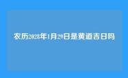 农历2028年1月29日是黄道吉日吗