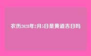 农历2028年2月5日是黄道吉日吗