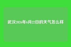 武汉2026年6月22日的天气怎么样