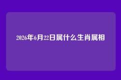 2026年6月22日属什么生肖属相