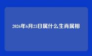 2026年6月23日属什么生肖属相