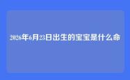 2026年6月23日出生的宝宝是什么命