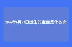 2026年6月23日出生的宝宝是什么命