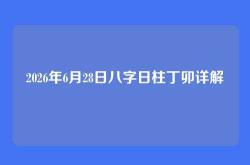 2026年6月28日八字日柱丁卯详解