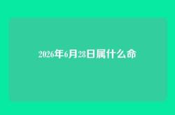 2026年6月28日属什么命