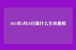 2026年6月28日属什么生肖属相