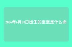 2026年6月28日出生的宝宝是什么命
