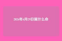 2026年6月29日属什么命