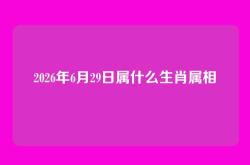 2026年6月29日属什么生肖属相