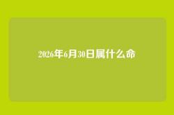 2026年6月30日属什么命