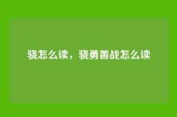 骁怎么读，骁勇善战怎么读