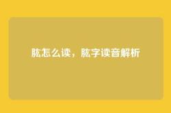 肱怎么读，肱字读音解析
