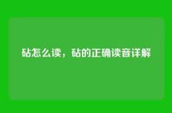 砧怎么读，砧的正确读音详解