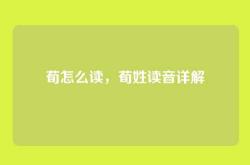 荀怎么读，荀姓读音详解