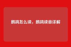 鹧鸪怎么读，鹧鸪读音详解