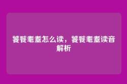 饕餮耄耋怎么读，饕餮耄耋读音解析
