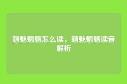 魑魅魍魉怎么读，魑魅魍魉读音解析