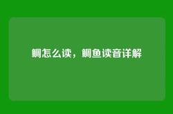 鲷怎么读，鲷鱼读音详解