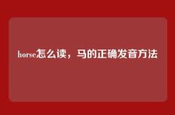 horse怎么读，马的正确发音方法