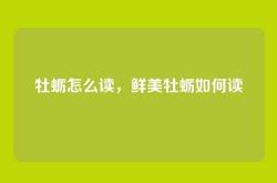 牡蛎怎么读，鲜美牡蛎如何读