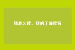 鳍怎么读，鳍的正确读音