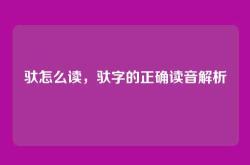 驮怎么读，驮字的正确读音解析