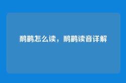 鸸鹋怎么读，鸸鹋读音详解