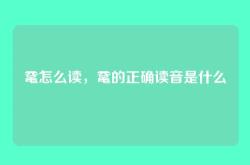 鼋怎么读，鼋的正确读音是什么
